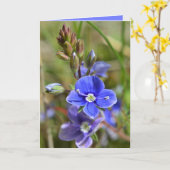 De lente bloeit Wenskaart Kaart (Gele Bloem)