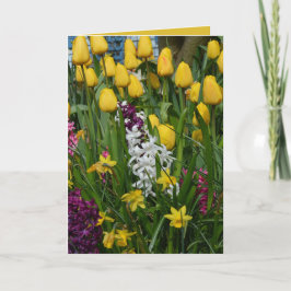 De lente bloeit Wenskaart Kaart