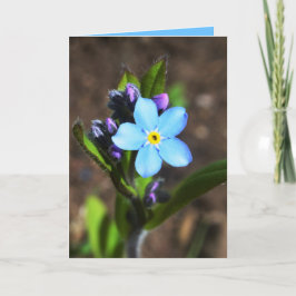 De lente bloeit Wenskaart Kaart