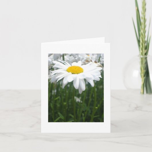 De lente Daisy Kaart (Voorkant)