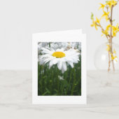 De lente Daisy Kaart (Gele Bloem)