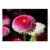 De lente heeft Sprung. (Voorkant Horizontaal)