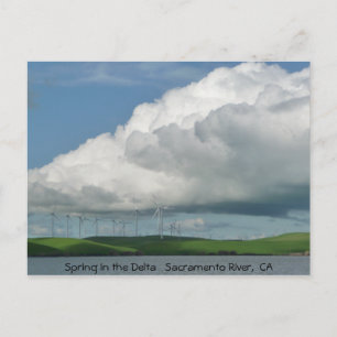 De lente in de Delta Briefkaart