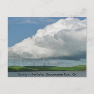 De lente in de Delta Briefkaart