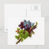 de lente is bijna briefkaart (Voorkant / Achterkant)