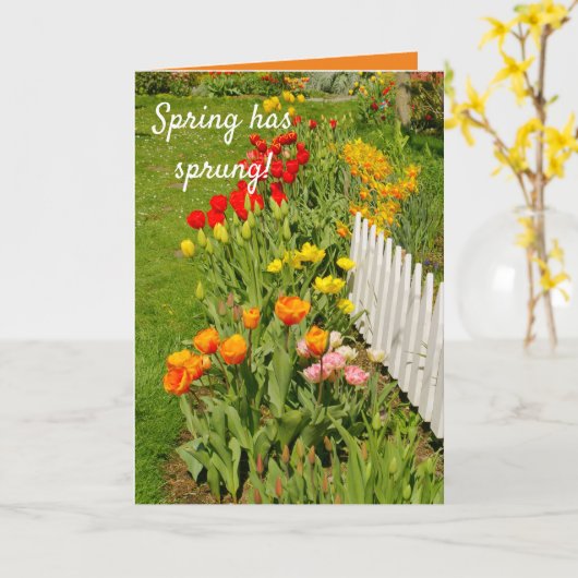 De lente is gegroeid, de  tuin, kaart (Gele Bloem)