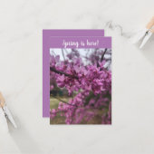 De lente is hier! wenskaart kaart (Voorkant / Achterkant in situ)