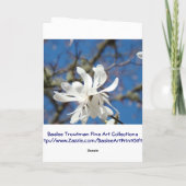 De lente is hier! Wenskaarten White Magnolia Tree Kaart (Achterkant)