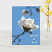 De lente is hier! Wenskaarten White Magnolia Tree Kaart (Gele Bloem)