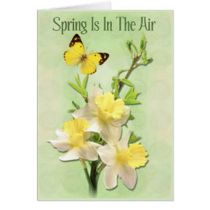 De lente is in de lucht