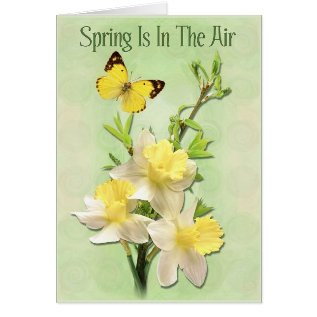 De lente is in de lucht (Voorkant)