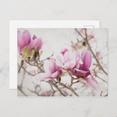 De lente is in de lucht briefkaart (Voorkant / Achterkant)