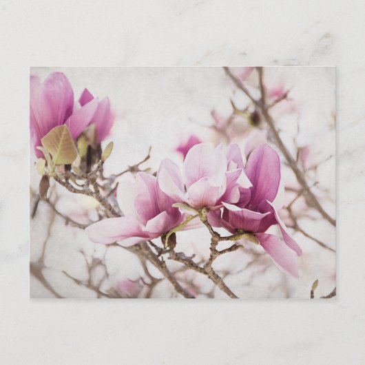 De lente is in de lucht briefkaart (Voorkant)