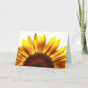 De lente is komend Wenskaart Kaart