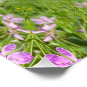 De lente is terug! poster (Hoek)