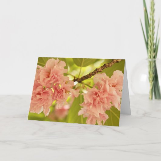 De lente kaart (Voorkant)