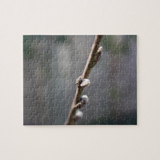 De lente komt eraan legpuzzel (Horizontaal)