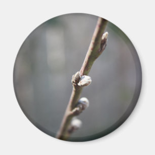 De lente komt eraan magneet