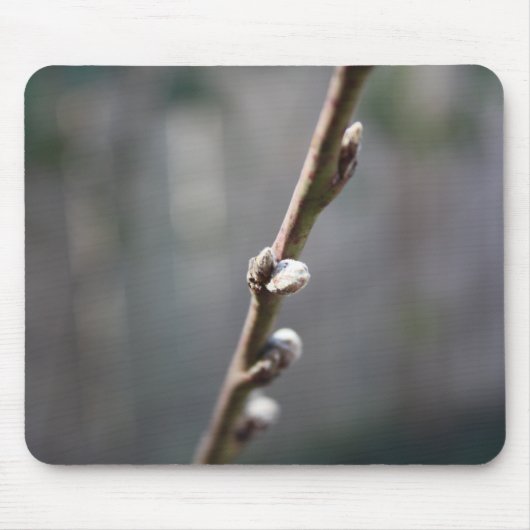 De lente komt eraan muismat (Voorkant)