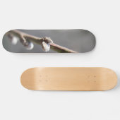 De lente komt eraan skateboard (Horizontaal)