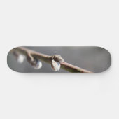 De lente komt eraan skateboard (Horizontaal)
