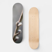De lente komt eraan skateboard (Voorkant)