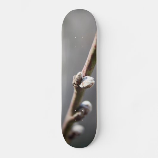 De lente komt eraan skateboard (Voorkant)