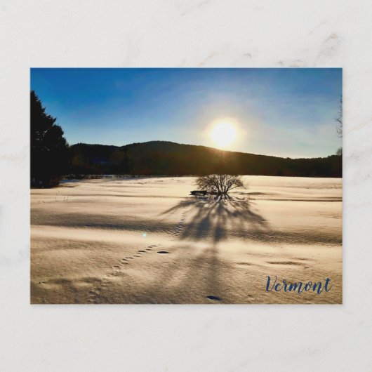 De lente lijkt ver weg briefkaart (Voorkant)