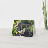 De "lente" Notecard Kaart (Voorkant)