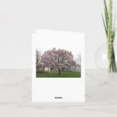 De Lente van de Boom van de tulp is opgesprongen Kaart (Achterkant)