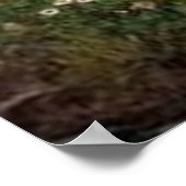 De lente verspreidt één Groene Lap van Bloemen - 1 Poster (Hoek)