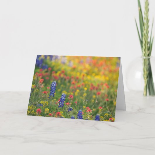 De lente Wildflowers Kaart (Voorkant)