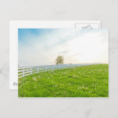 De lentelandschap van het land briefkaart (Voorkant / Achterkant)