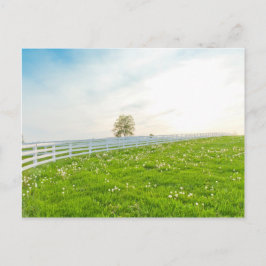 De lentelandschap van het land briefkaart