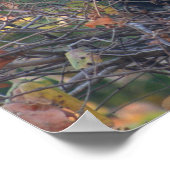 De leraar poster (Hoek)