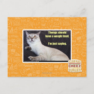 De leren riemen zouden een gewichtsgrens moeten briefkaart