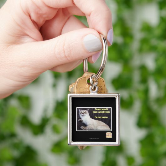 De leren riemen zouden een gewichtsgrens moeten sleutelhanger (Hand)