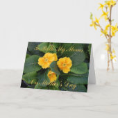 De lesbische Mamma's van de Kaart van het (Gele Bloem)