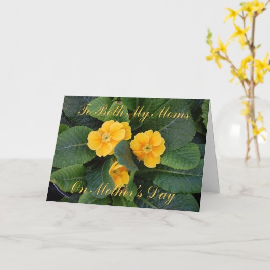 De lesbische Mamma's van de Kaart van het (Gele Bloem)