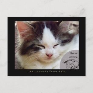 De lessen van het leven van kransen van een Kat Br Briefkaart
