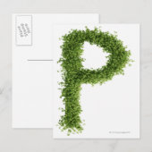 de letter "P" in het midden op de witte achtergron Briefkaart (Voorkant / Achterkant)