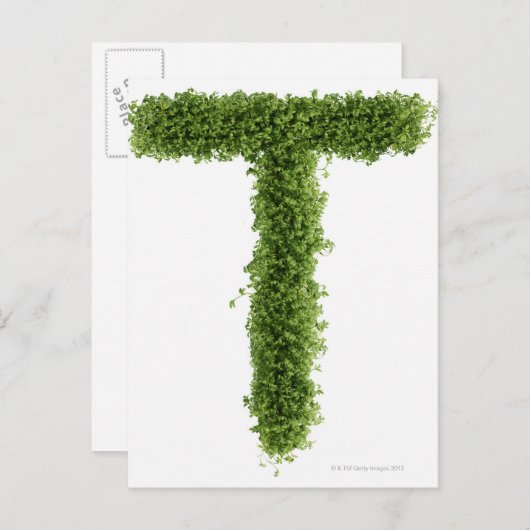 de letter "T" in het midden op witte achtergrond, Briefkaart (Voorkant / Achterkant)