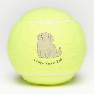 De leuke Bruine Ballen van het Tennis van Penn van