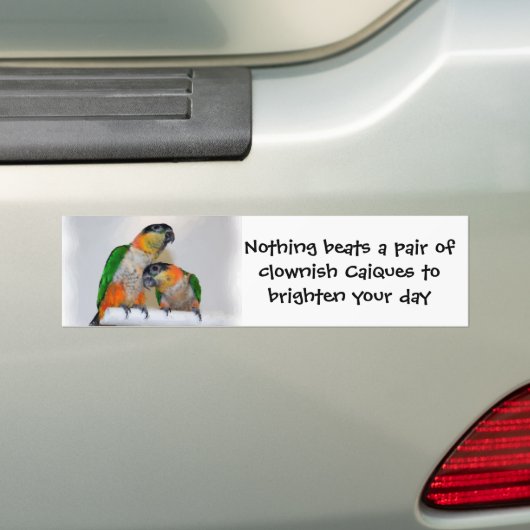 De leuke Caique Bumpersticker van het Paar van de (Op auto)