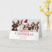 De leuke Feestelijke Vrolijke Typografie van Kaart (Gele Bloem)