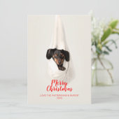 De leuke Foto van Kerstmis van de Hond van het Feestdagenkaart (Staand voorkant)