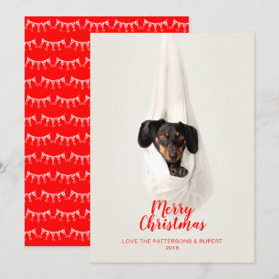 De leuke Foto van Kerstmis van de Hond van het Feestdagenkaart