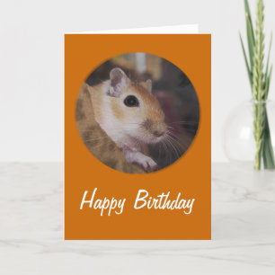 De leuke Gouden Woestijnrat van het Huisdier Kaart