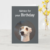 De Leuke Hond van de Humor van de verjaardag Kaart (Gele Bloem)