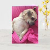 De leuke Hond van het Puppy puft in het Roze Kaart (Gele Bloem)